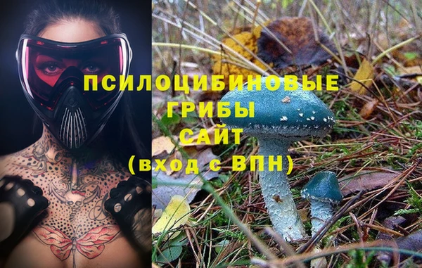 прущая мука Володарск