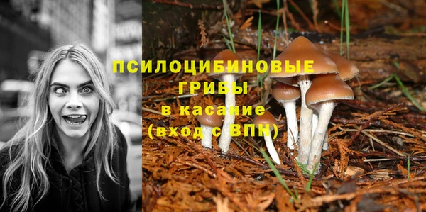 мяу мяу мука Волоколамск