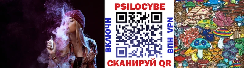 Псилоцибиновые грибы Cubensis  купить  цена  Зеленогорск 
